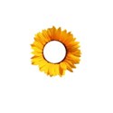frame_sunflower