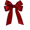 bow1