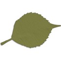 Leaf 02