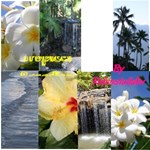Tropical Paradise
