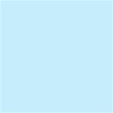 Duck background