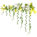 apple blossom branch dangles yellow 2