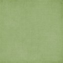 paper 66 green