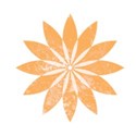 Shape 7