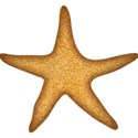 Starfish