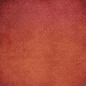 about a boy muted papers (4)