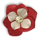 flower2_cyb-mikki
