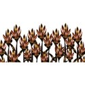 CLOPE_AutumnElegance_crokusborder