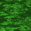 grass