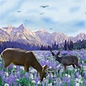 mountains