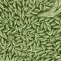 cloth 1