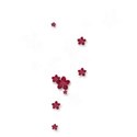 floating flowers