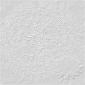 dandelion_BKG_silver