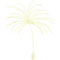 dandelion_seed_yellow