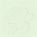 rose_green_BKG