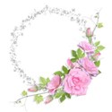 diamond rose cluster 2
