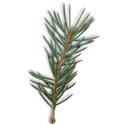 tree2_holiday_mikki