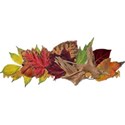 Autumn Cluster Sprays - 03