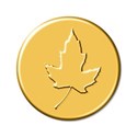 flairyellow