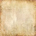 paper 05