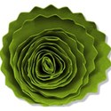 Christmas rolled paper flower 3