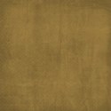 bos_ea_paper05