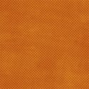 PP16_fallish_mikki