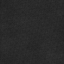 PP18_fallish_mikki