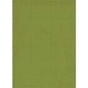 greenbkgrd
