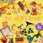 Fall and Its Beauty