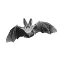 bat 2