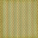 MLIVA_sfn-PP7