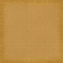 MLIVA_sfn-PP10