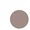 purple circle2