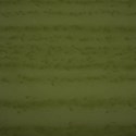 DDD_NatureWalk_Paper6