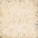 calalily_Independance_paper6