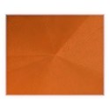 Orange Swatch