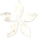 Flower10