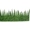 grass-SOCCER_mikki