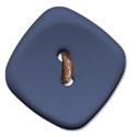 buttonblue