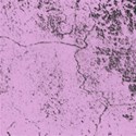 mauve silver veined