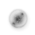 bubble4_edited-6