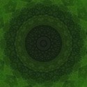 Paper 06