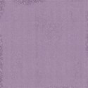 schua_elegance_paper4