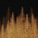 Paper 01