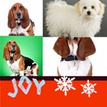 Christmas Theme Card Christmas Theme Card