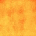 AlbumstoRem_orange_summerdays