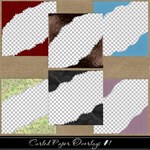 Curled Paper Overlays Curled Paper Overlays