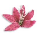jennyL_loveyou_flower8