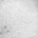 paper 05 white